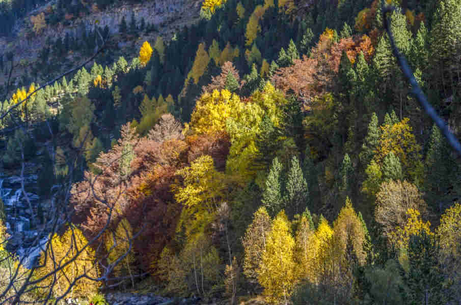 Huesca - parque nacional de Ordesa y Monte Perdido - valle de Ordesa 49 - Gradas de Soaso.jpg